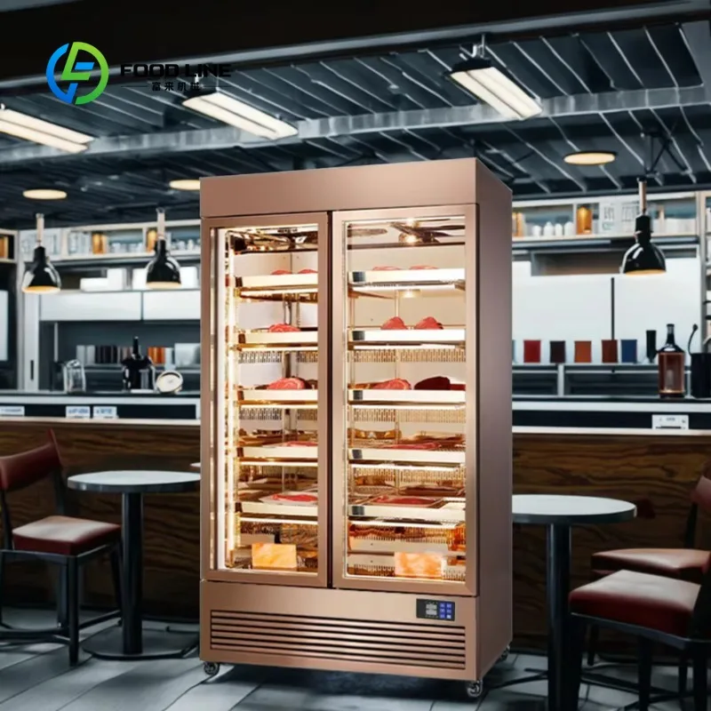 Dry Aging Refrigerator Customized Professional Single Temperature Beef Meat Two Door Aging Cabinet Showcase Kitchen Use