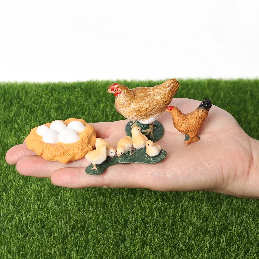 Simulation Poultry Animals Model Figurines The Life Cycle of A Chicken,Rooster,Goose Models Action Figures Educational Toys