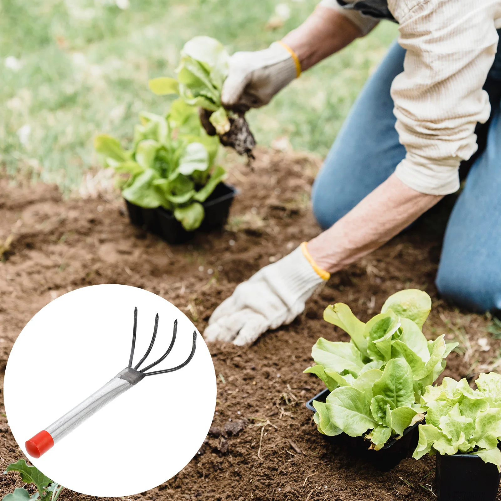 

3pcs Steel Garden Rake 4 Teeth Digging Lightweight Portable Soil Loosening Agricultural Hand Tool For Farming