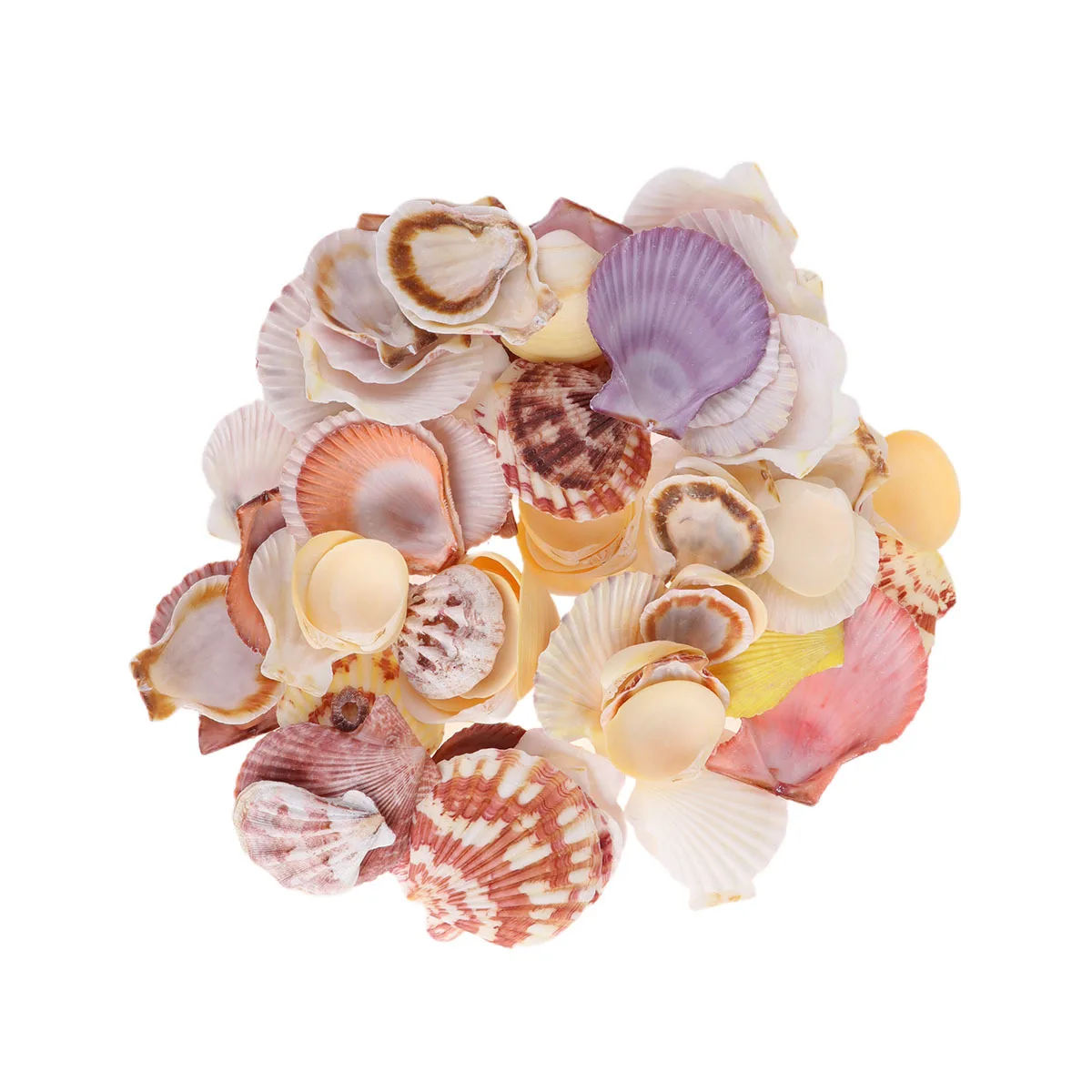 

1 Bag 250G Natural Shell Decorations Mixed Sea Style Aquarium Landscape Accessories for Fish Tank Decoration DIY Photo Frame