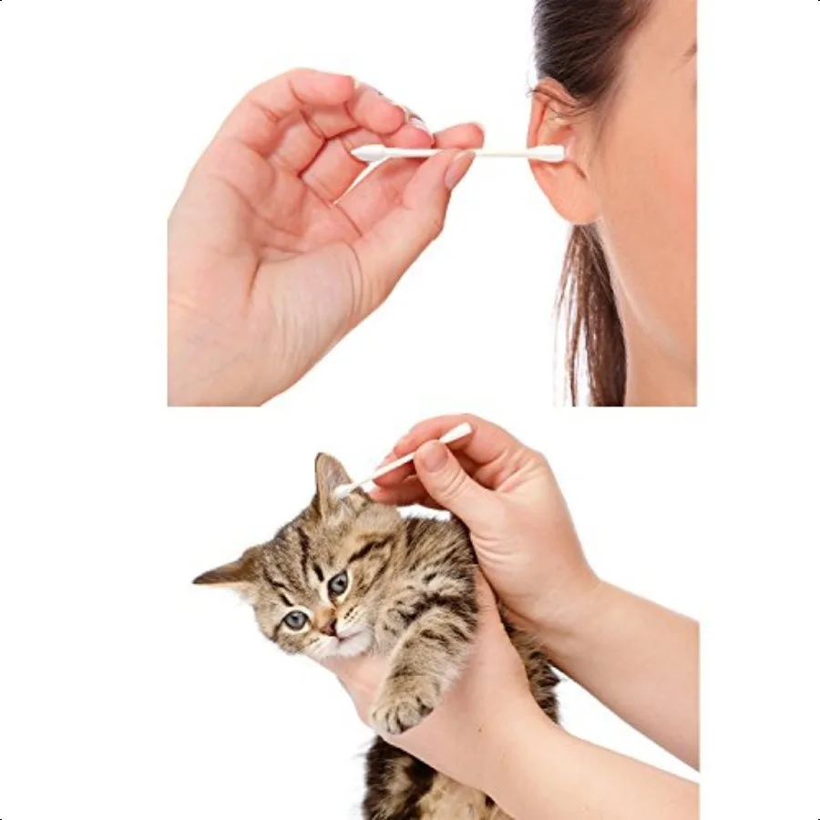 400 pièces coton-tige Double embouts précis avec bâtons de carton coton-tige pour le nettoyage du maquillage peinture pointue et spirale Hea