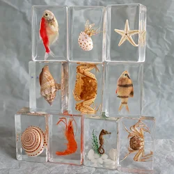 12pcs Natural insect specimens resin marine animal specimens home accessories home decoration accessories figurine fish beetles