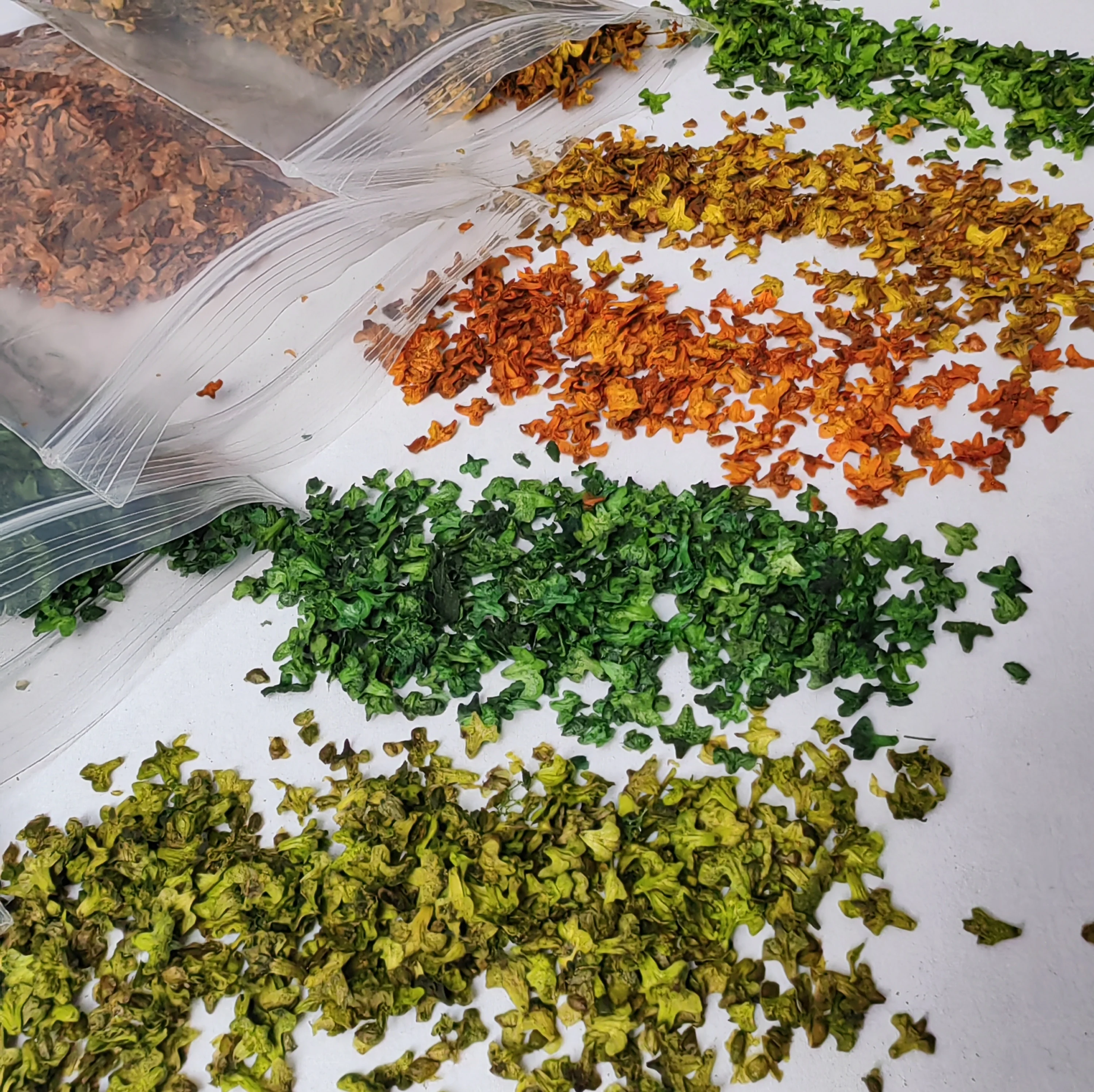 33ml Realistische Miniatuur Bladeren Simulatie Bladeren voor DIY Modellering Baseren Spoorweg Bonsai Fairy Garden Diorama Supplies GroundKit