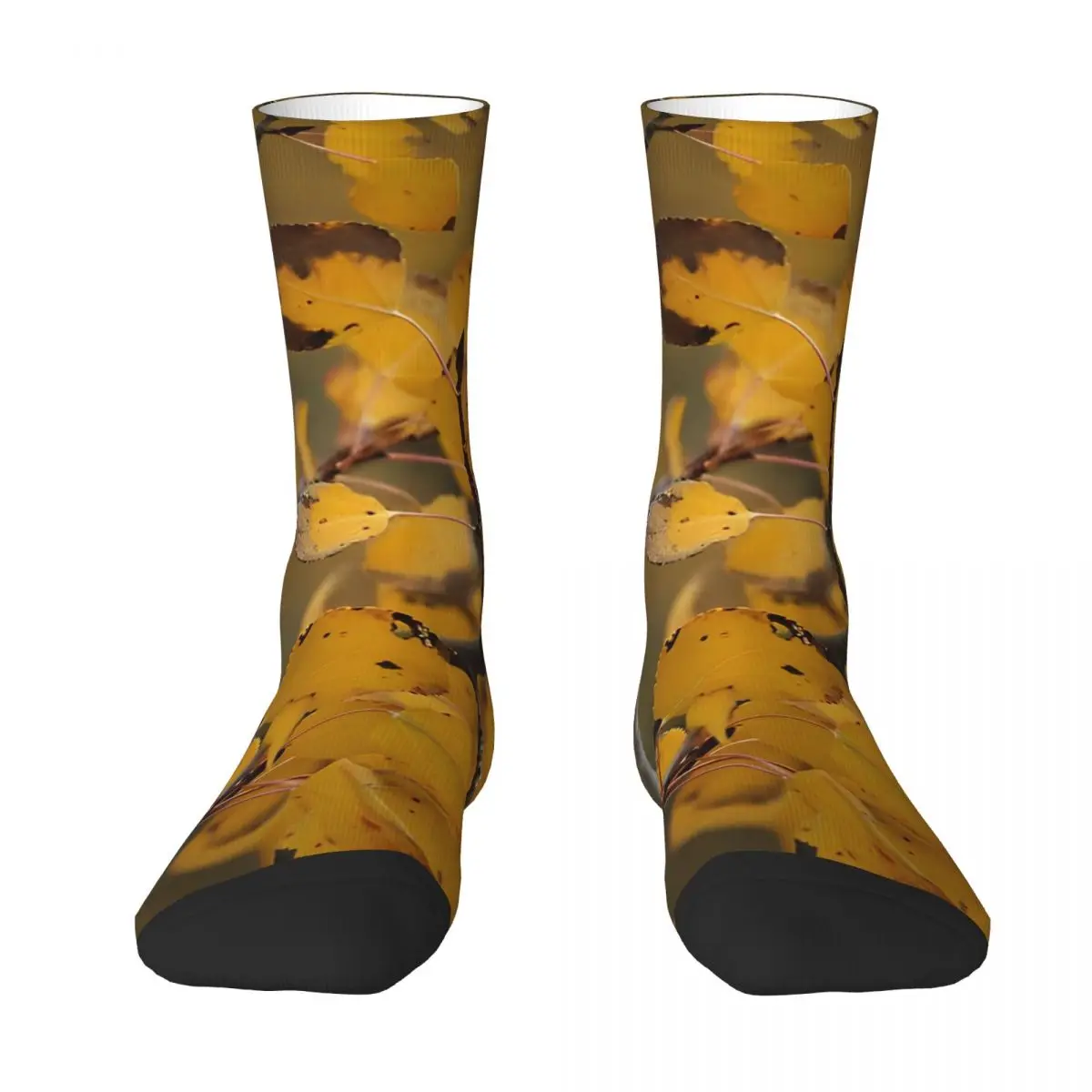 Winter Warm Cool Unisex Fall Aspen Leaves Socks Tree Mountains Colorado Golden Sweat Absorbing Skateboard Socks