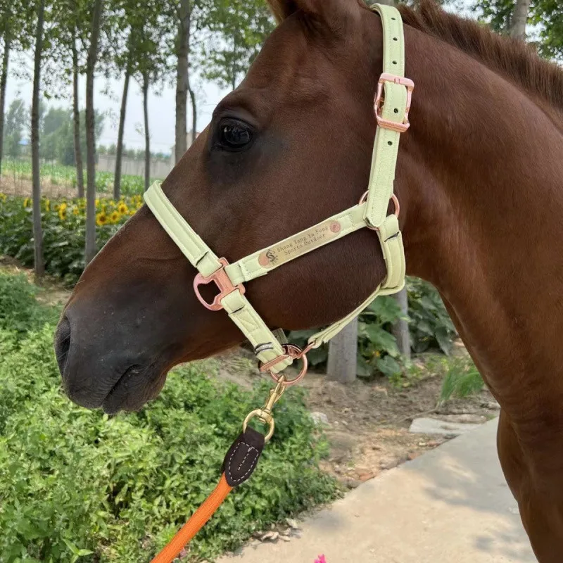 

Leather Horse Racing Tack Set Equestrian Headstall Durable Endurance Bridle
