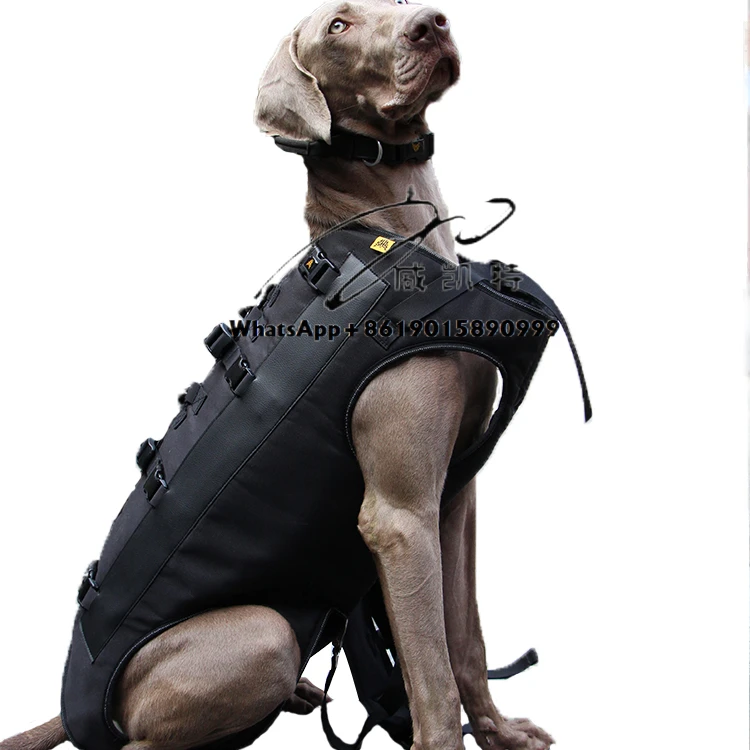 

Собаки среднего и старшего возраста, переноски с двойным плечом для собак, домашних животных, портативные рюкзаки при выход