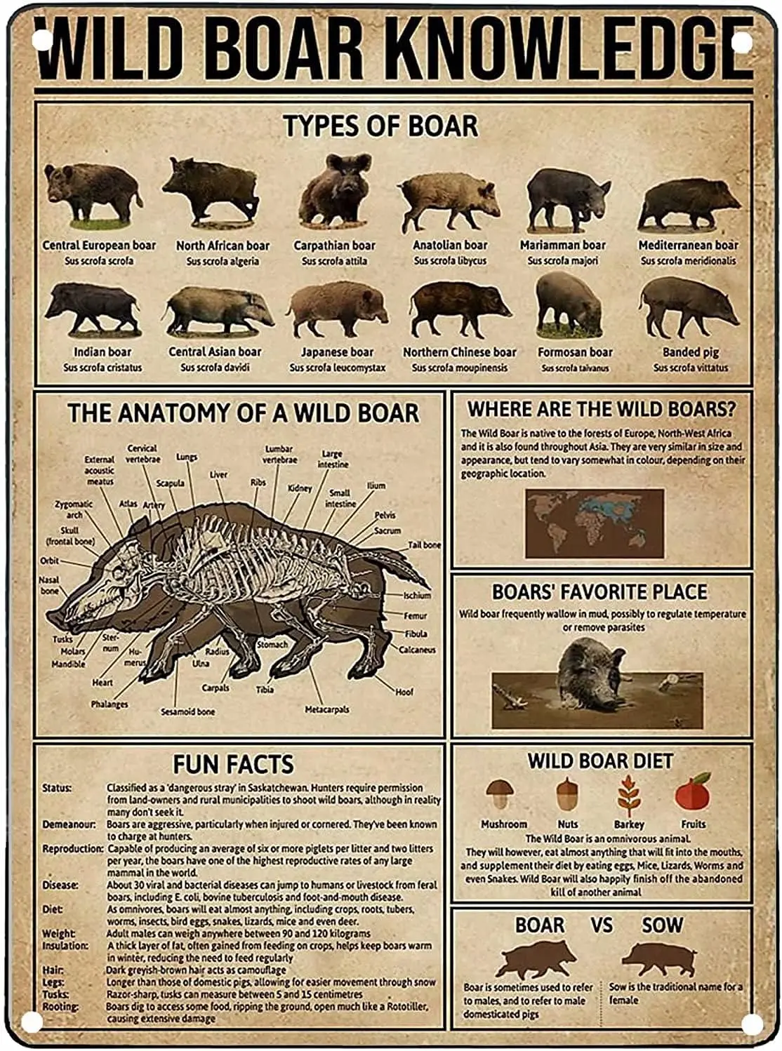 Wild Boar Knowledge Metal Tin Sign Types Of Boar Retro Printing Poster School Hunting Lodge Cafe Bar Bedroom Bathroom Kitchen Ho