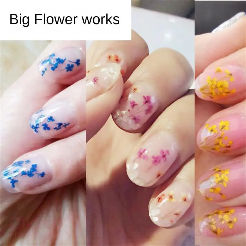 Decorazione per unghie a fiori veri Mini adesivi per fiori secchi ciondoli floreali naturali disegni accessori per unghie per Manicure