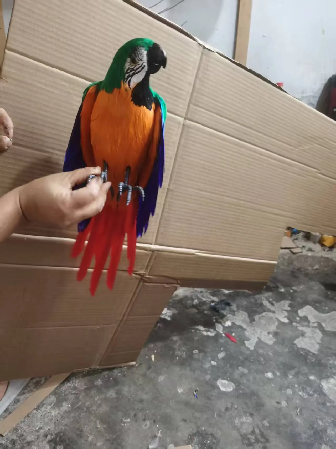 

big simulation foam and feather wings red tail parrot model gift about 48cm a0151