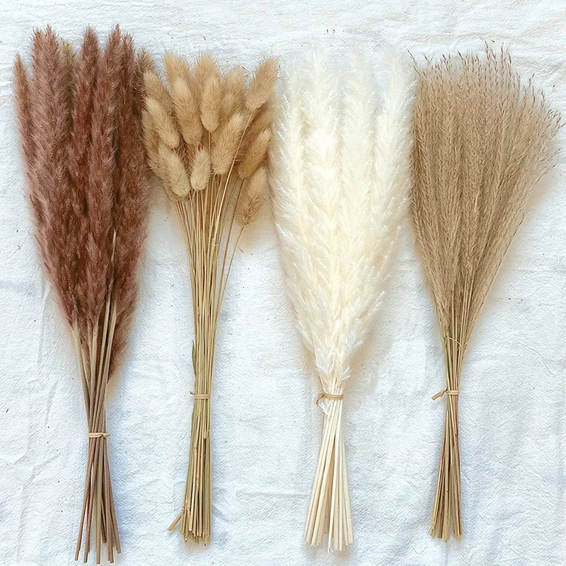 Dried Flower Natural Pampas Rabbit Tail Grass Fluffy Reeds Flowers Bouquet Boho Decor Flora For Living Room Wedding Party