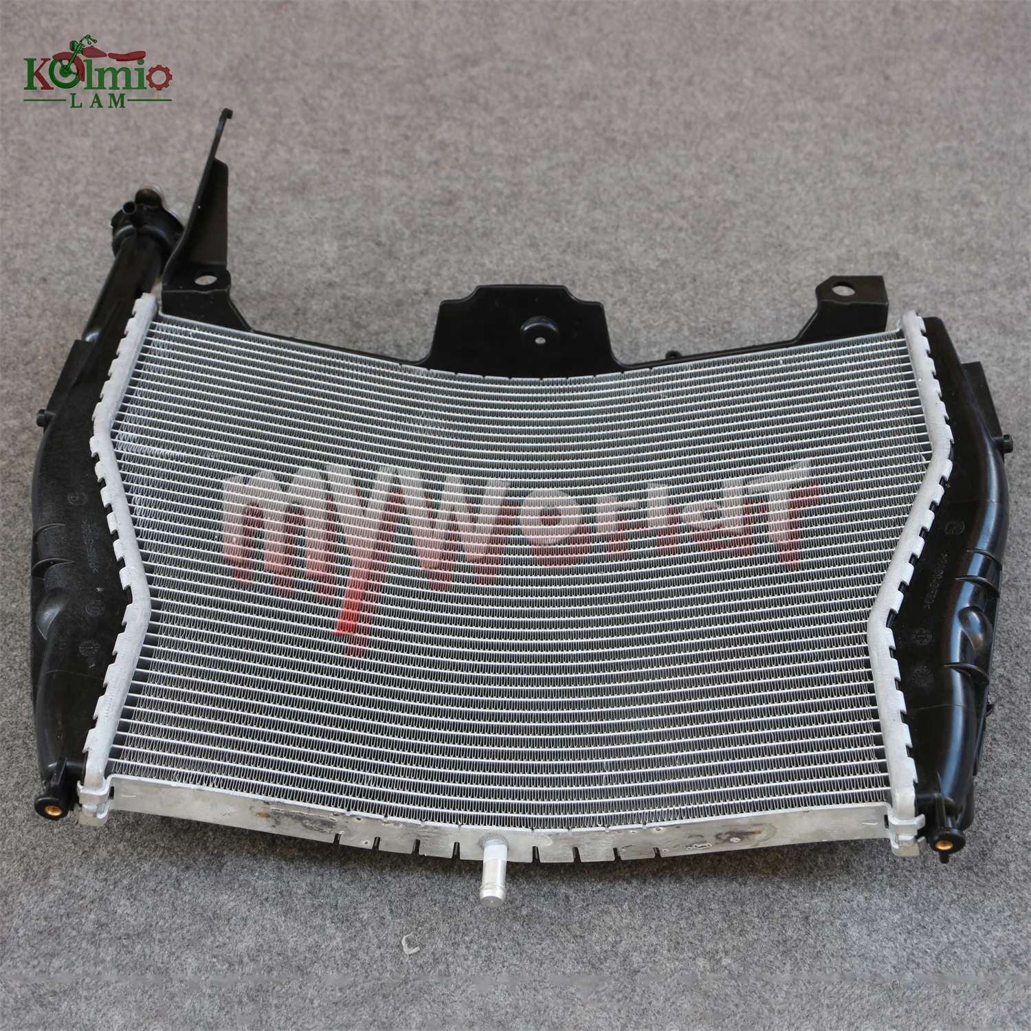 Radiator Cooler Fit For BMW S1000RR 2009 - 2018 S 1000 RR HP4 RACE Motorcycle