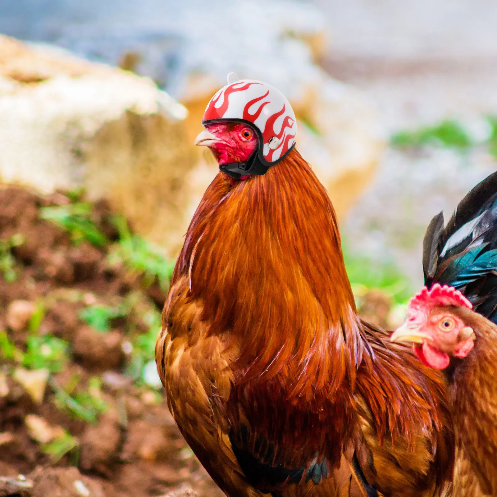 

Funny Flame Design Chicken Pet Protective Gear Sun Rain Buffer Cap Adjustable Strap Pet Costume Accessories