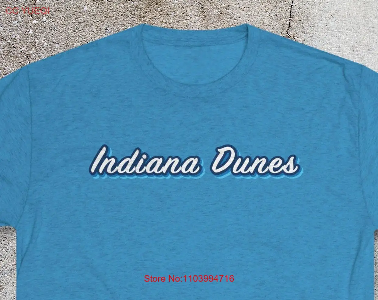 

Indiana Dunes T shirt region gift state park 219 NWI vintage retro long or short sleeves