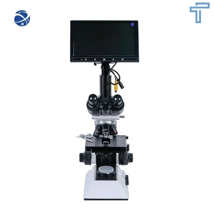 YSXWJ-CX80 Ysenmed Medical large screen lab instrument binocular microscope with camera