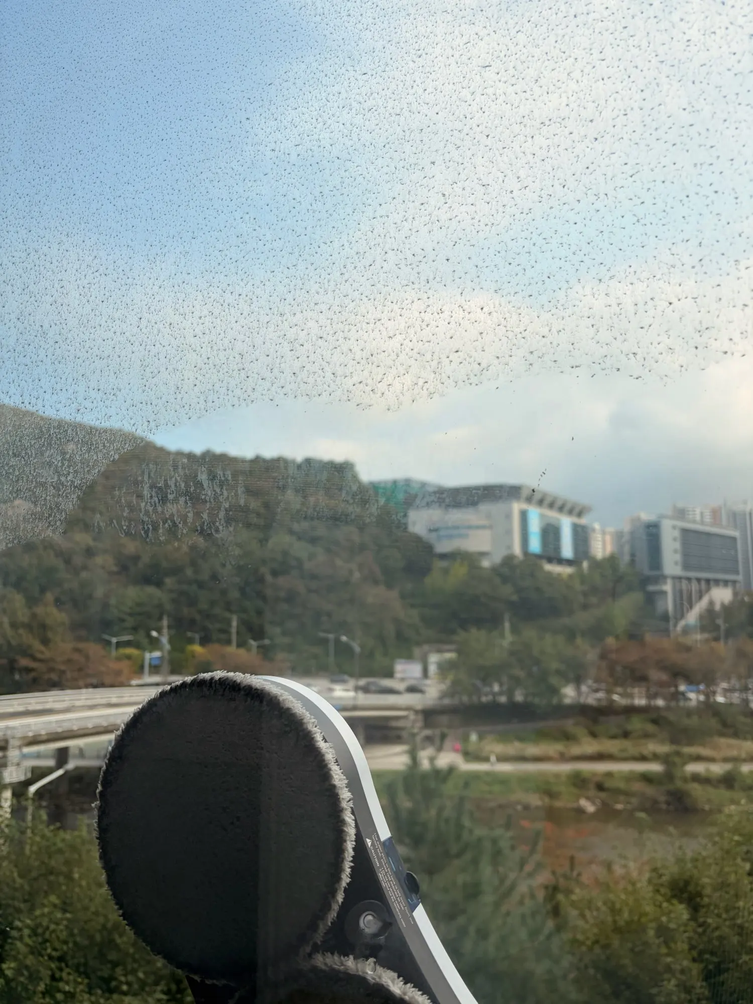 리뷰 사진