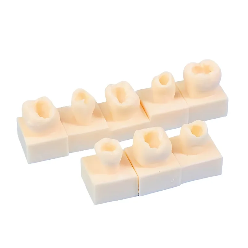 8pcs/set Dental Posterior Student Training Test Model Practice Composite Resin Filling Teeth Jaw Dentistry Equipment Mold Tools