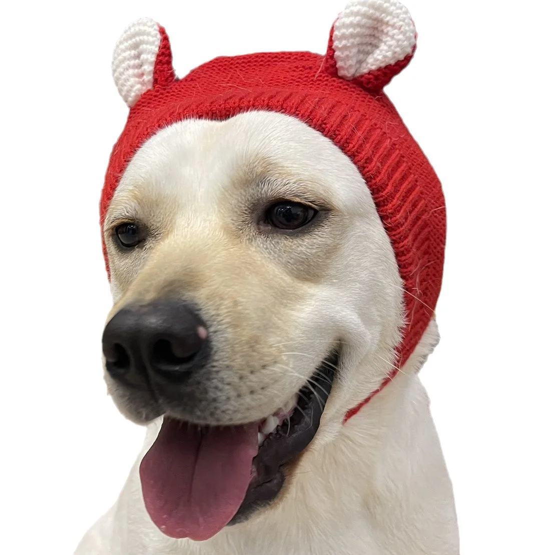 Dog hat winter medium and large dog Labrador golden retriever funny head cover warm pet puppy big dog ears