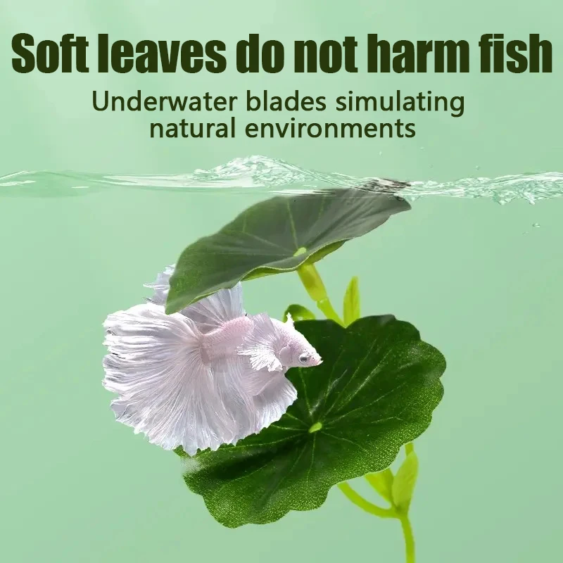 Thumbnail 4 - #30 Best Decorative Aquarium Plants to Buy In 2026