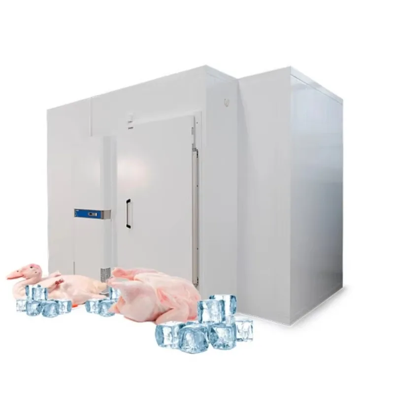 Energy Saving Industrial Mini Easy To Operated Blast Fridge and Deep Monoblock Freezer Complete Cold Room Storage