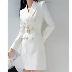 2026 Professional Suit Dress Women's Spring Autumn New Fashion Design Sense Long-sleeved Temperament Overalls Ol Wind Slim Skirt