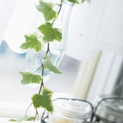 313 Wielbasis voor Wrangler 5-deurs carrosserie voor 1/10 RC Crawler Auto Traxxas TRX4 SCX10 90046 AX103007 RC4WD JEEP DIY Onderdelen & Ac