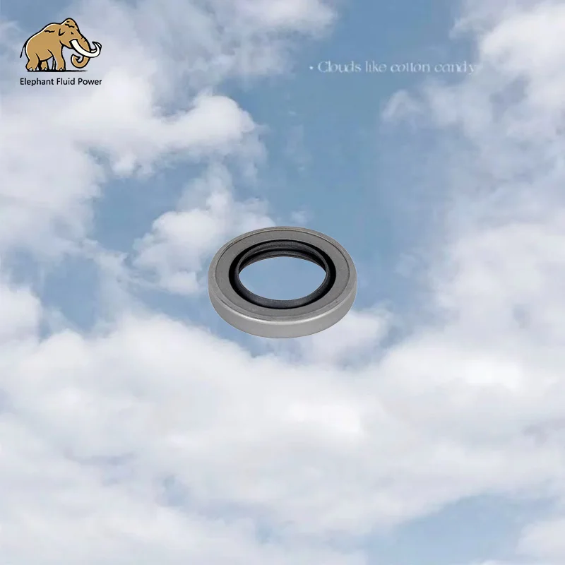 

Hydraulic P75 Series Gear Pump Repair Parts 391-2883-094 Rubber Shaft Seal Construction Machinery