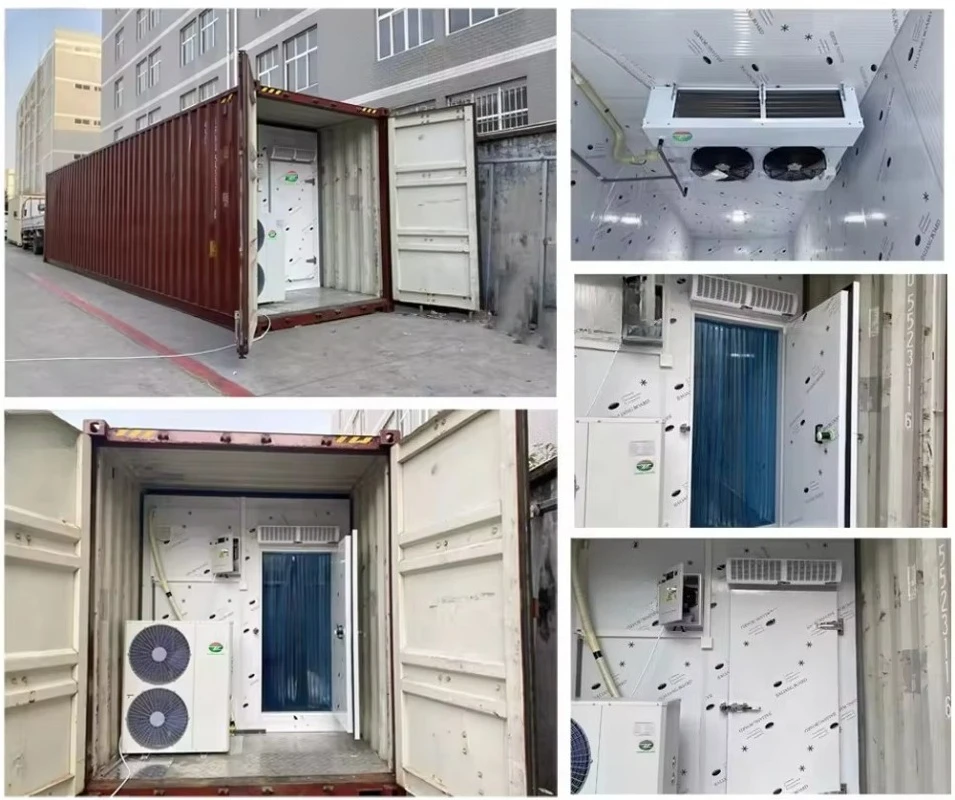 Customized Cold Storage Walk in Room Refrigeration Unit Freezing Storage Fruit Meat Fish Movable Solar Cold Room Container