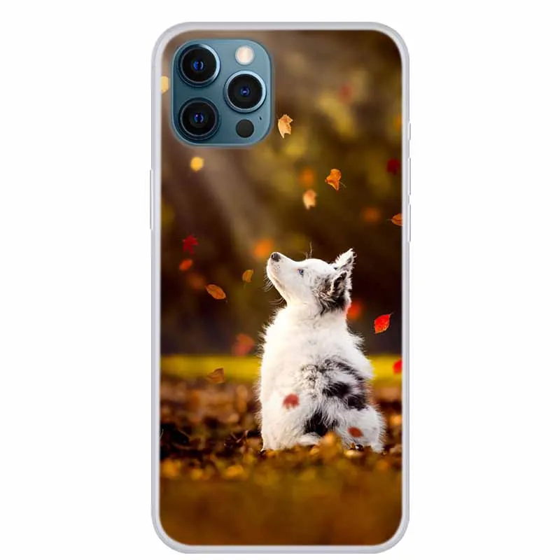 Clear Phone Case For iphone 12 Apple iphone12 Mini Soft Silicone TPU Cover for iphone12 pro 12 pro max Cute Cats Animals Para