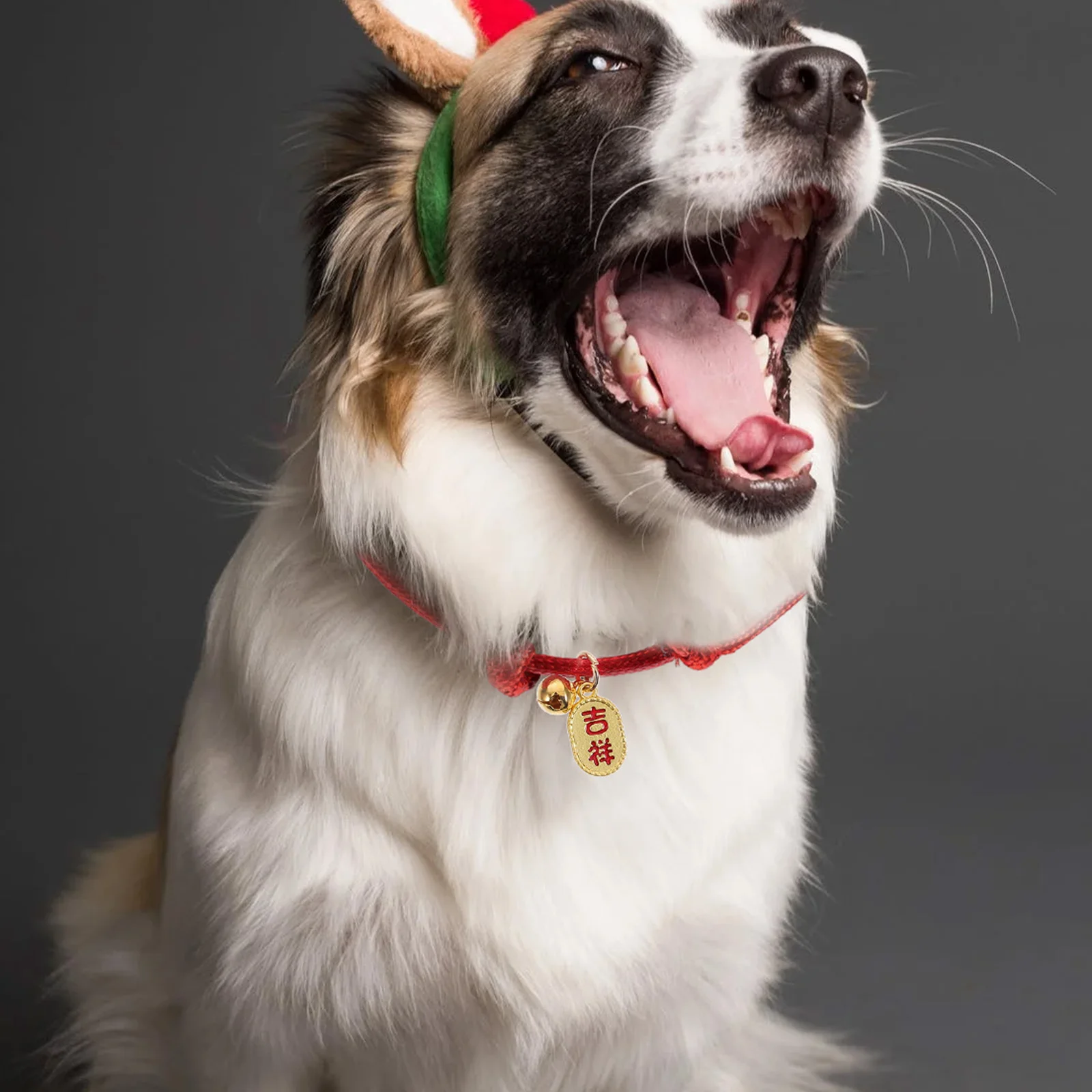 

2Pcs Pet Collar Adjustable Festive Decorative Dog Puppy Cat Neck Decor for New Year Party Photo Prop Comfortable Skin-Friendly