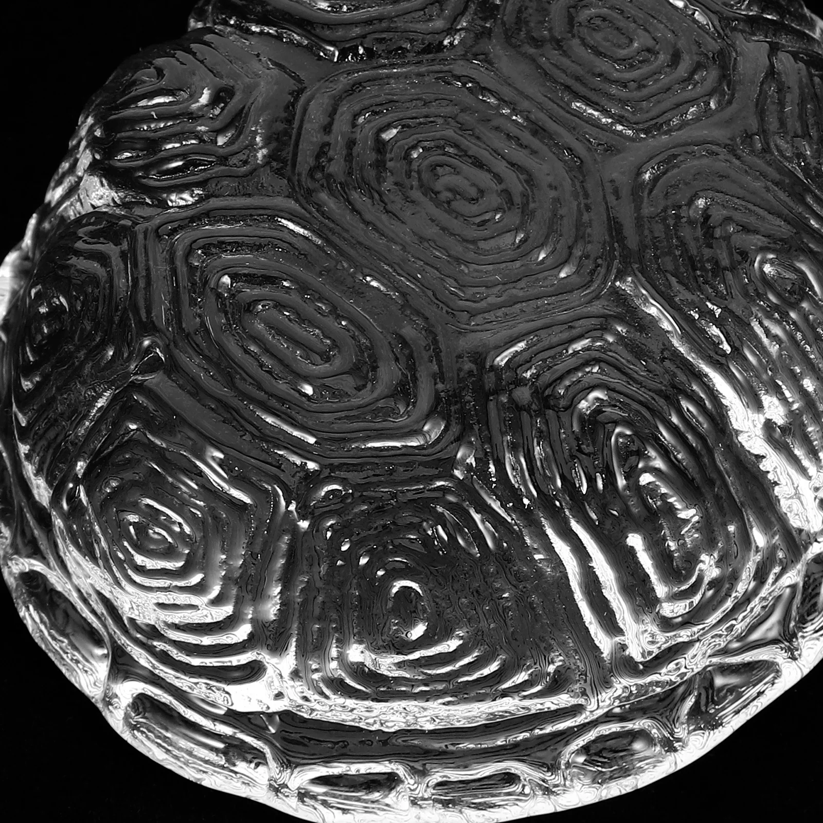 

Glass Chinese Calligraphy Paperweight Turtle Shell Design Heavy Duty Smooth Surface for Writing Painting Office Desk Decor