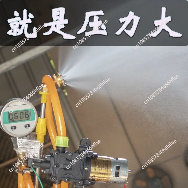 General Electric Sprayer Water Pump Agricultural Sprayer 12v Motor Pump Head Large Flow Self-priming Diaphragm Pump