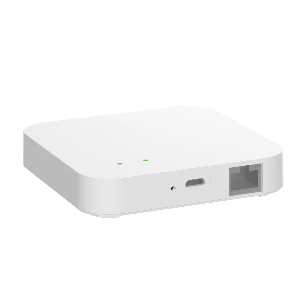 Variant: Zigbee Wired Hub