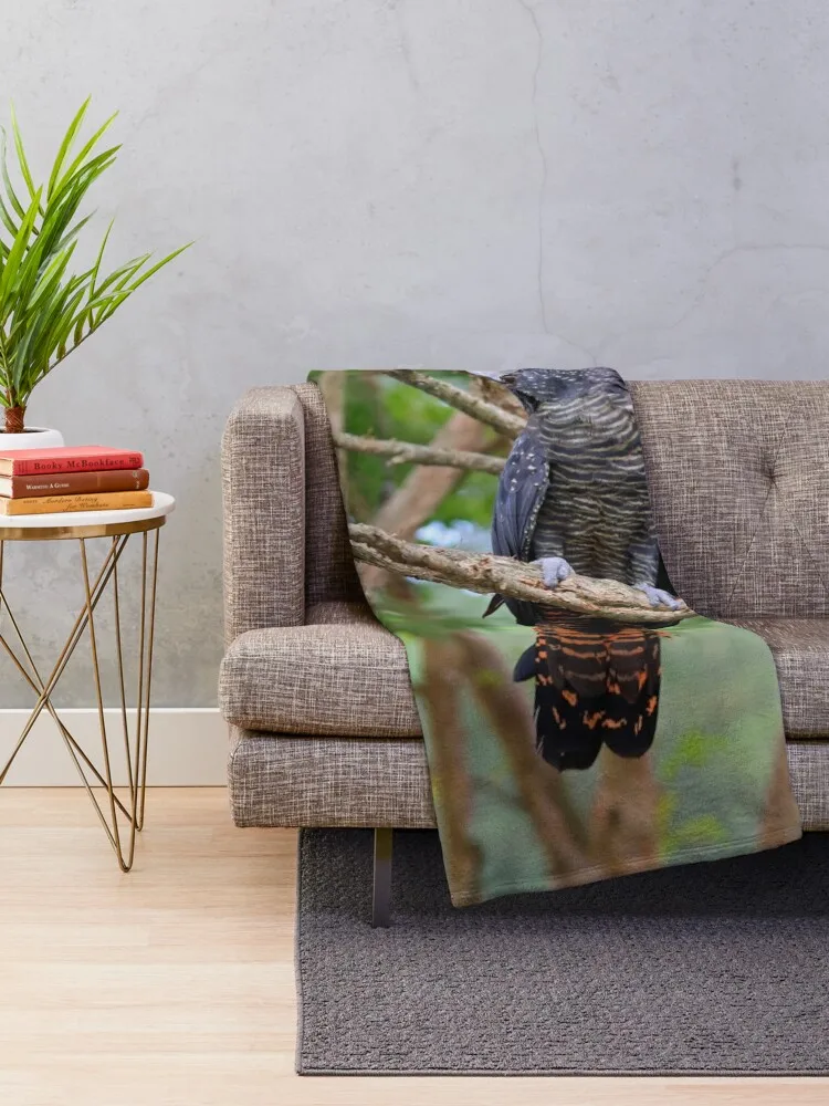 Red-Tailed Black Cockatoo Throw Blanket christmas gifts Decorative Sofas Flannels Blankets