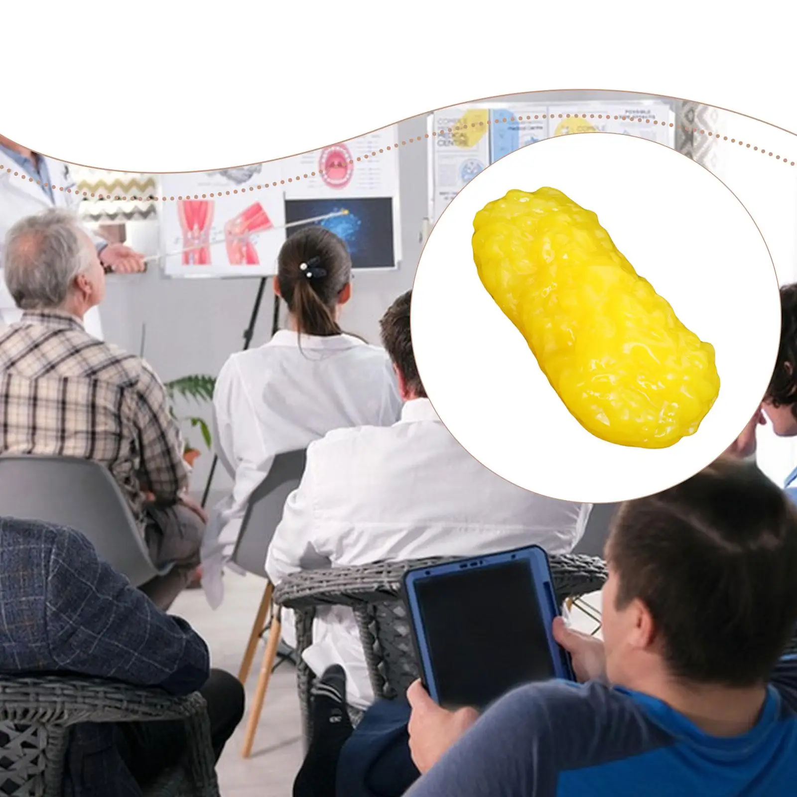 

Имитация жира человеческого тела, многофункциональное, тонкое качество изготовления, прочный, удобный жир