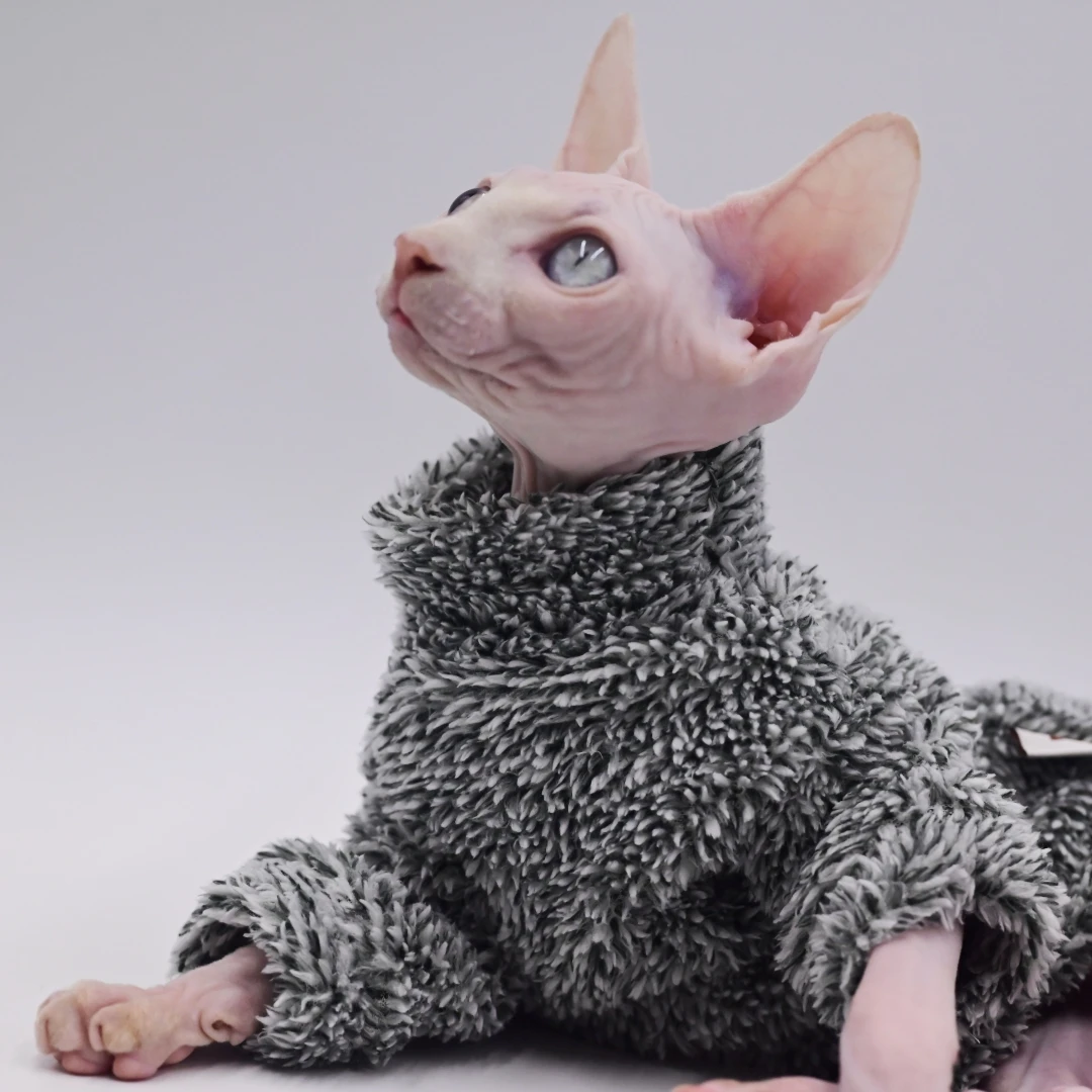 Haarlosen Katze Kleidung Winter Camouflage Warme Arktischen Samt Sphynx Katze Mantel Devon Kleidung Konis Katze