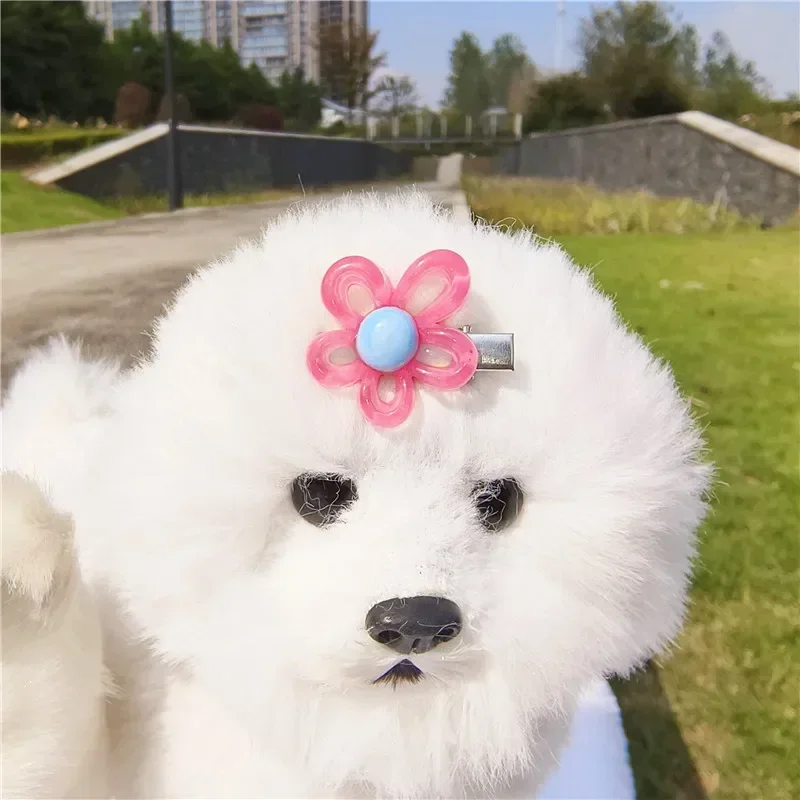 10 Kinds of Style Dog Hair Clips New Pet Grooming Accessories Flower Shape Hairpin for Puppy Dog Cat Pet Supplies