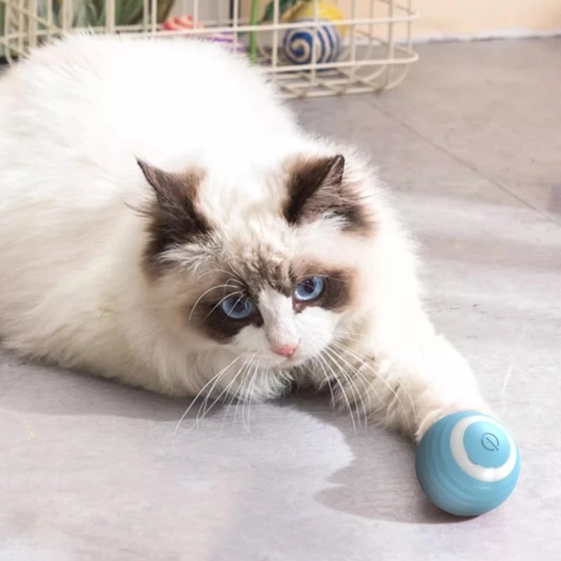 Bola Inteligente para Gatos: Guia Definitivo de Uso, Manutenção e Seleção do Melhor Brinquedo Automático