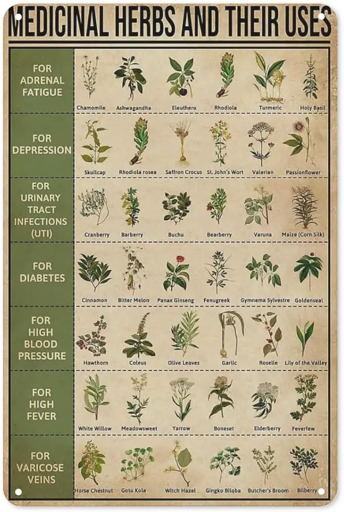 Moriyu Medicinal Herbs and Their Uses Posters Metal Signs Wall Decor Room Decor 8x12 Inches, Tin-sign1