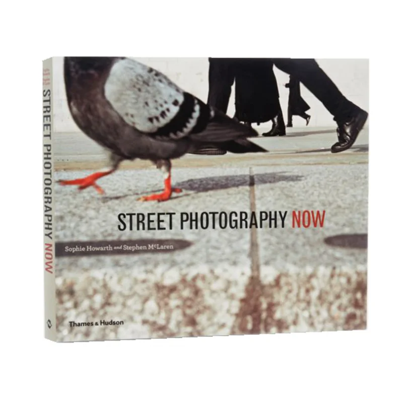 STREET PHOTOGRAPHY NOW PB Sophie Howarth Thames And Hudson Ltd 9780500289075 Book