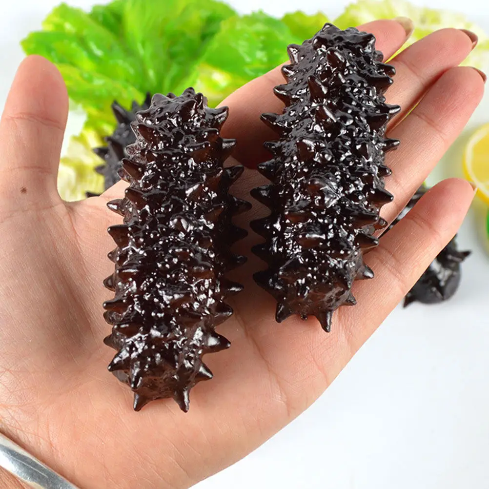 3Pcs Sea Cucumber Simulation Lifelike Artificial Seafood Display Prop Educational Cognitive Decor Photo Prop Kids Toys