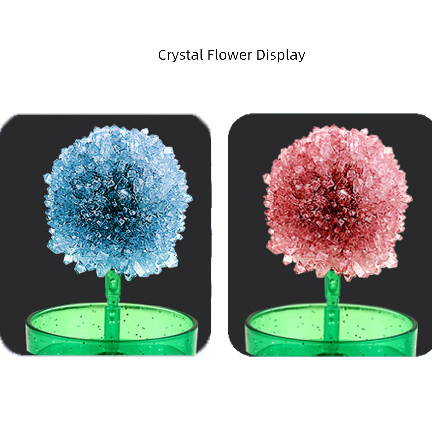 DIY crystal planting science experiment, creative flower shape, crystal tree, parent-child fun experimental game