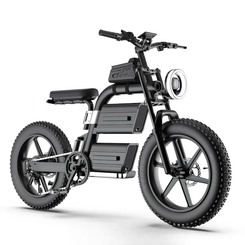 Factory Hot Selling High-end Bike Exporter 1500w Fat Tire 20inch Steel and Aluminum Alloy Frame