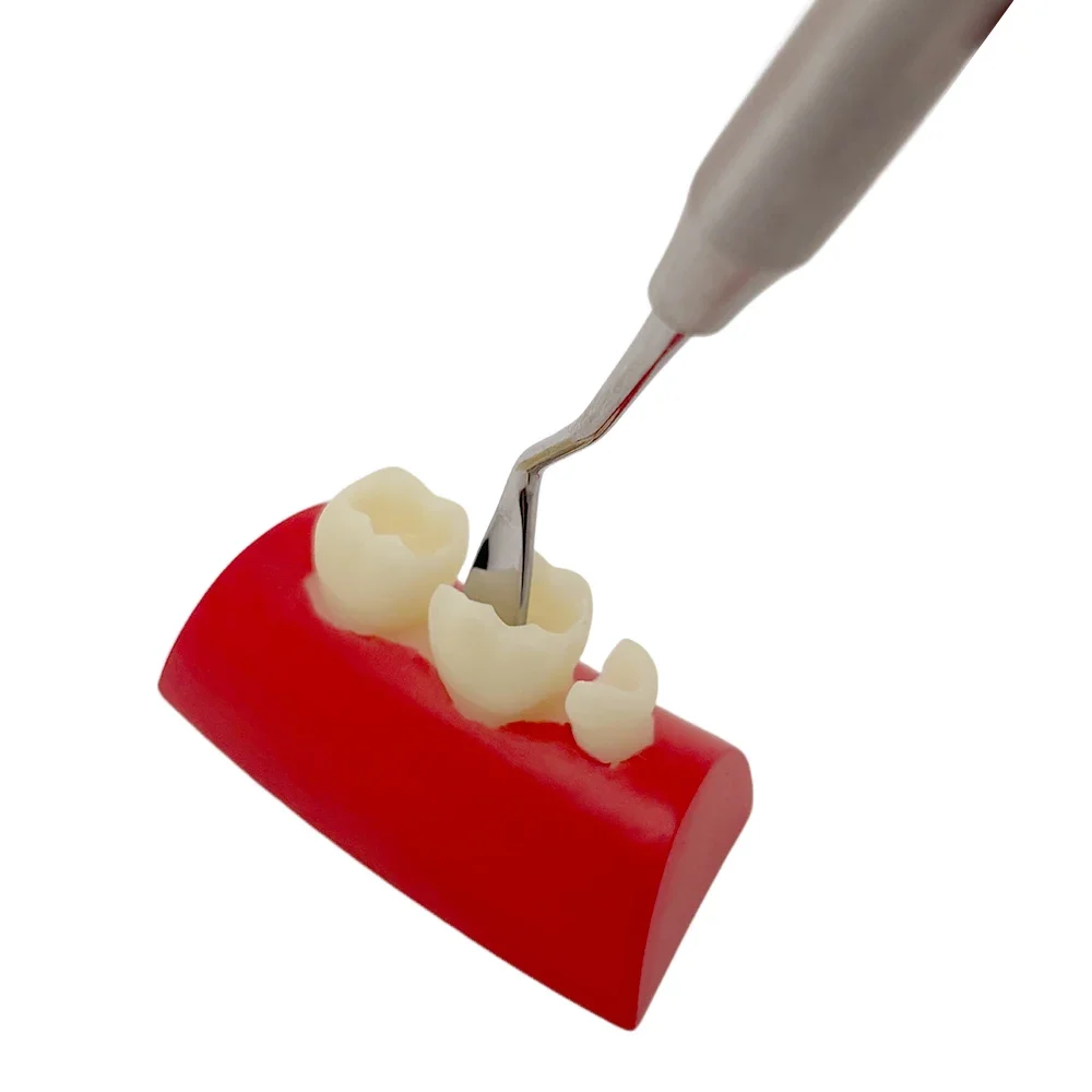 1Pcs Dental Implant Gingival Retractor Stainless Steel Dental Gum Separator Isolation Surgical Tool