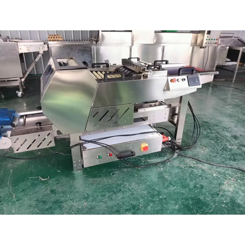 2025 مصنع بيع آلة تعبئة مزرعة البيض آلة صينية البيض الأوتوماتيكية بالكامل آلة تعبئة مزرعة البيض