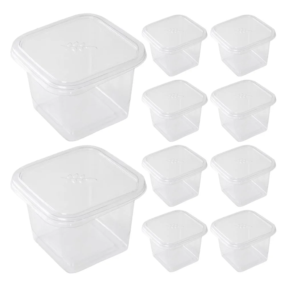 50Pcs Clear Cake Containers Mini Dessert Boxes Cupcake Biscuit Storage Reusable Sturdy Party Favor Packaging Mini Cake Boxes