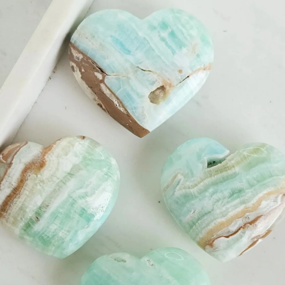 1Pc Caribbean Calci…