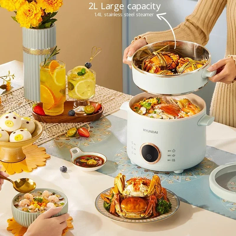 Cuiseur à riz électrique antiadhésif, mini multicuiseur, boîte à lunch, marmite, poêle, cuiseur vapeur, 2,0 L