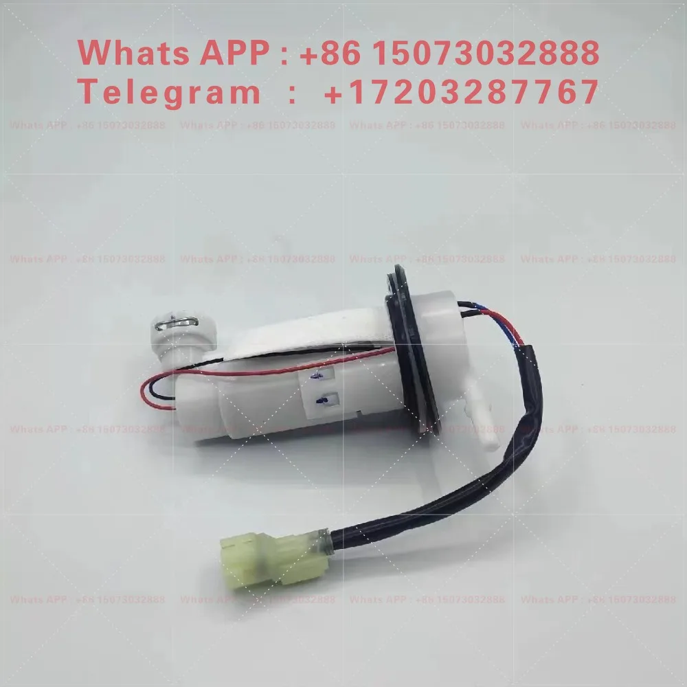 EFI pump, Horizon IV R35V6 Xiaofeng N19 Python motorcycle sports car oil pump assembly