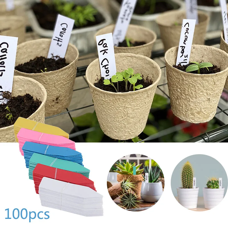 

100pcs Garden Reusable Plastic Plant Labels Gardening Plant Sign Tags Waterproof Nursery Seedling Tray Markers Label Diy Tools