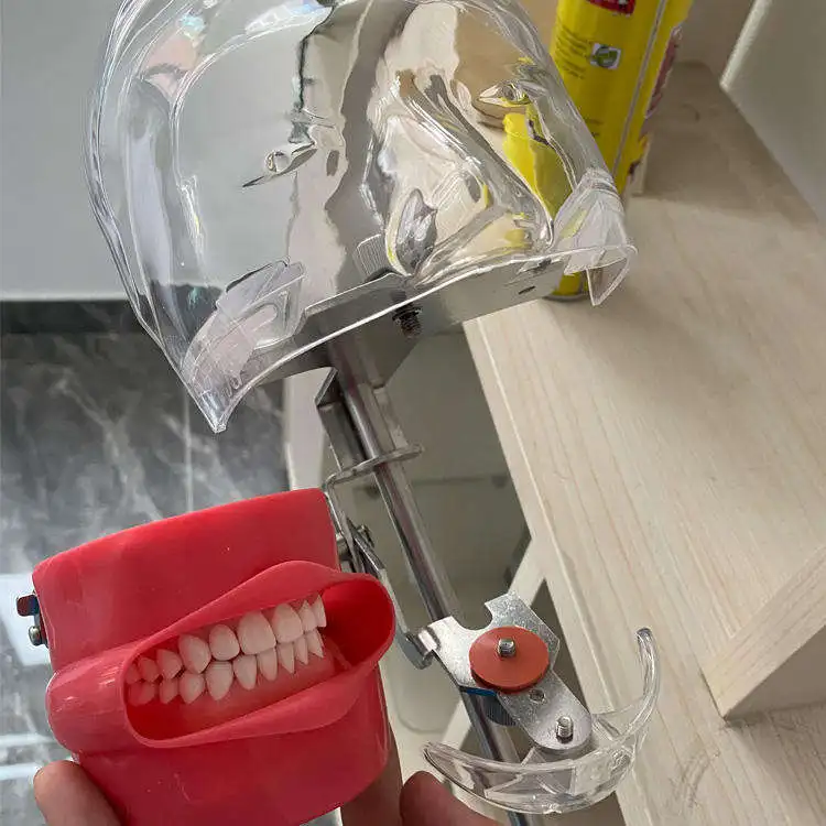 Dental Phantom Head, Stainless Steel and Silicone Dummy Head Model,  Training Manikin, Desk Mounted Simulation